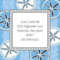 Blue Sand Dollars Calling Cards
