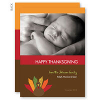 Turkey Wishes Thanksgiving Photo Cards